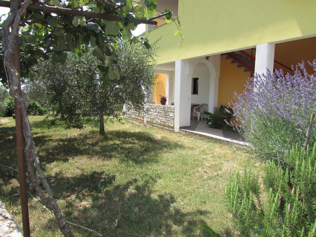 Goga Apartment Umag