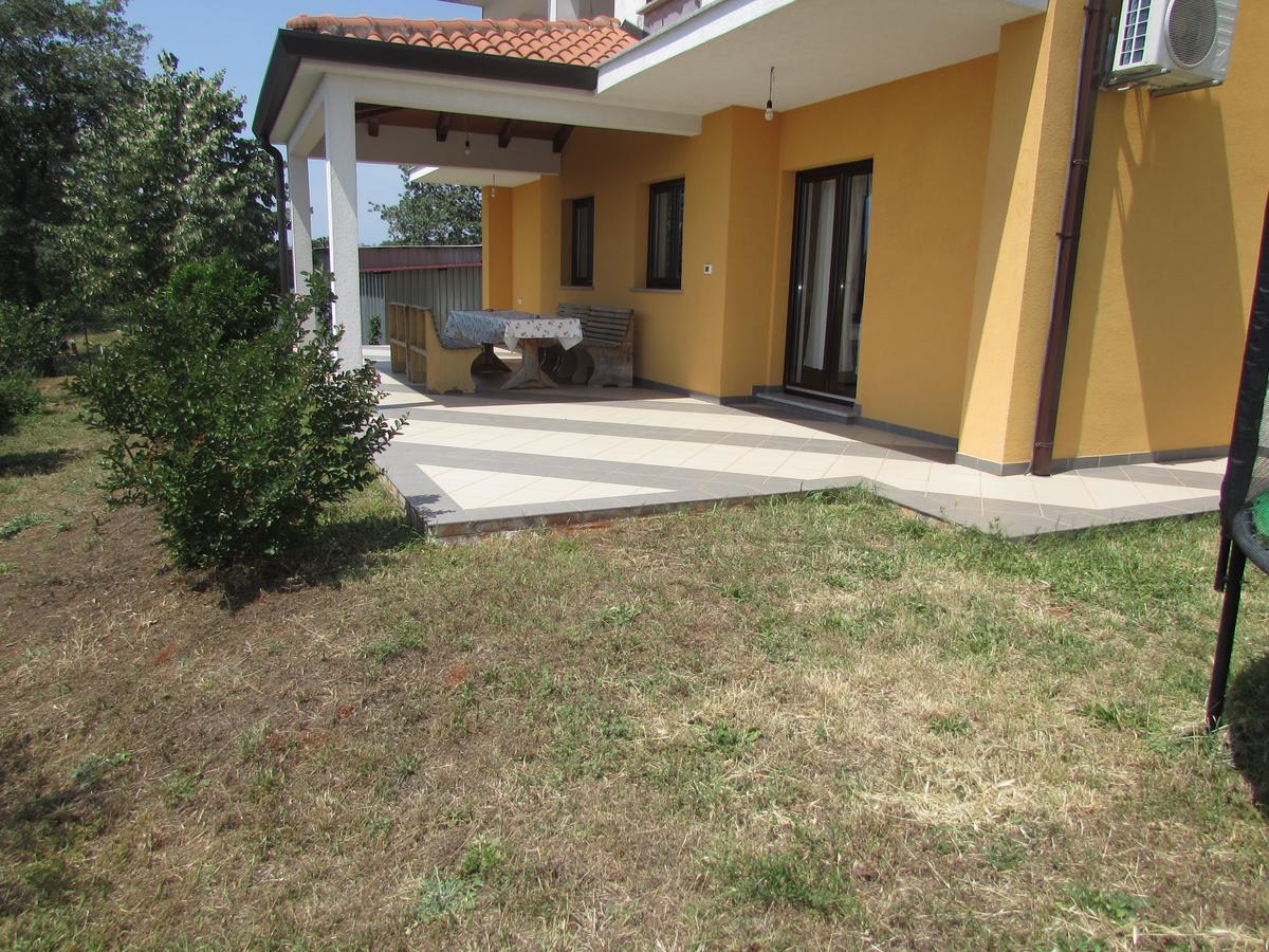 Apartment Goga *