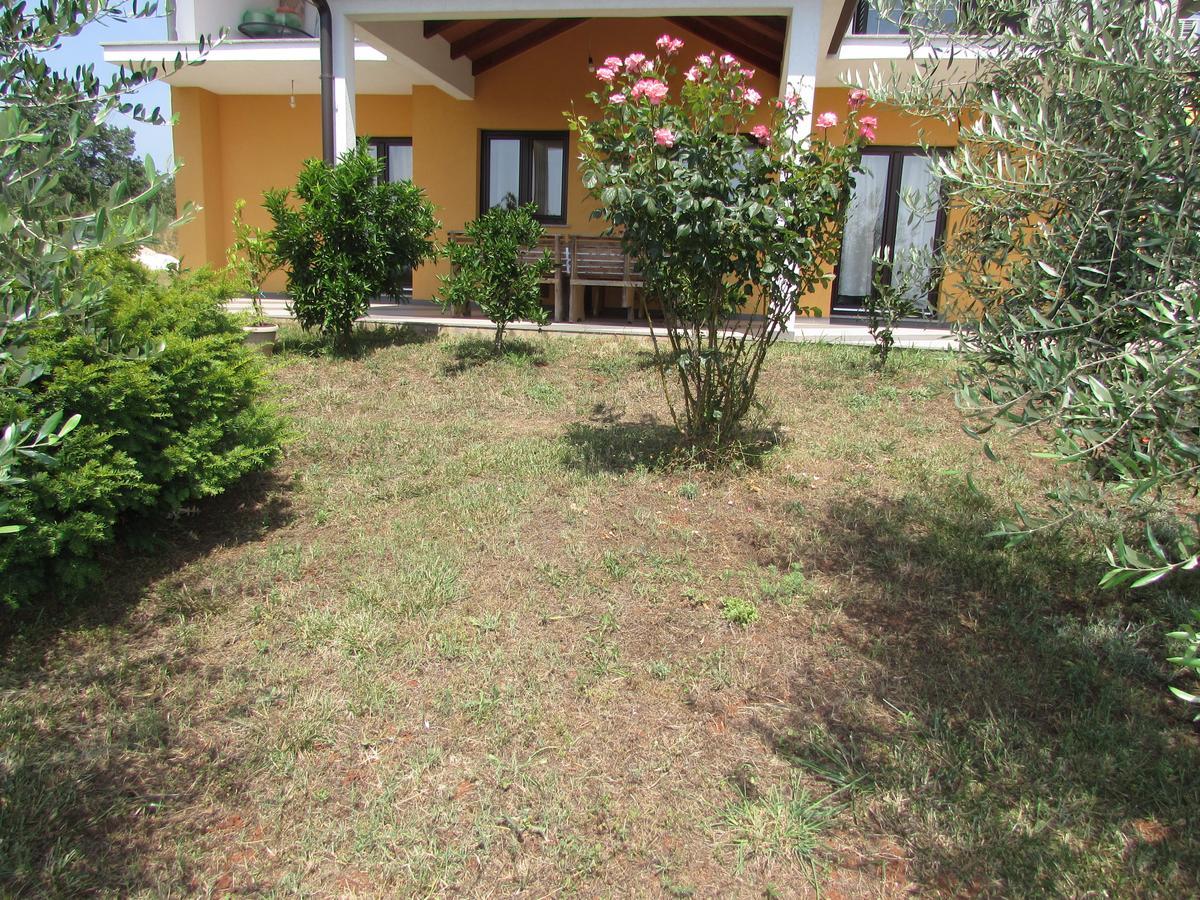 Apartment Goga Umag